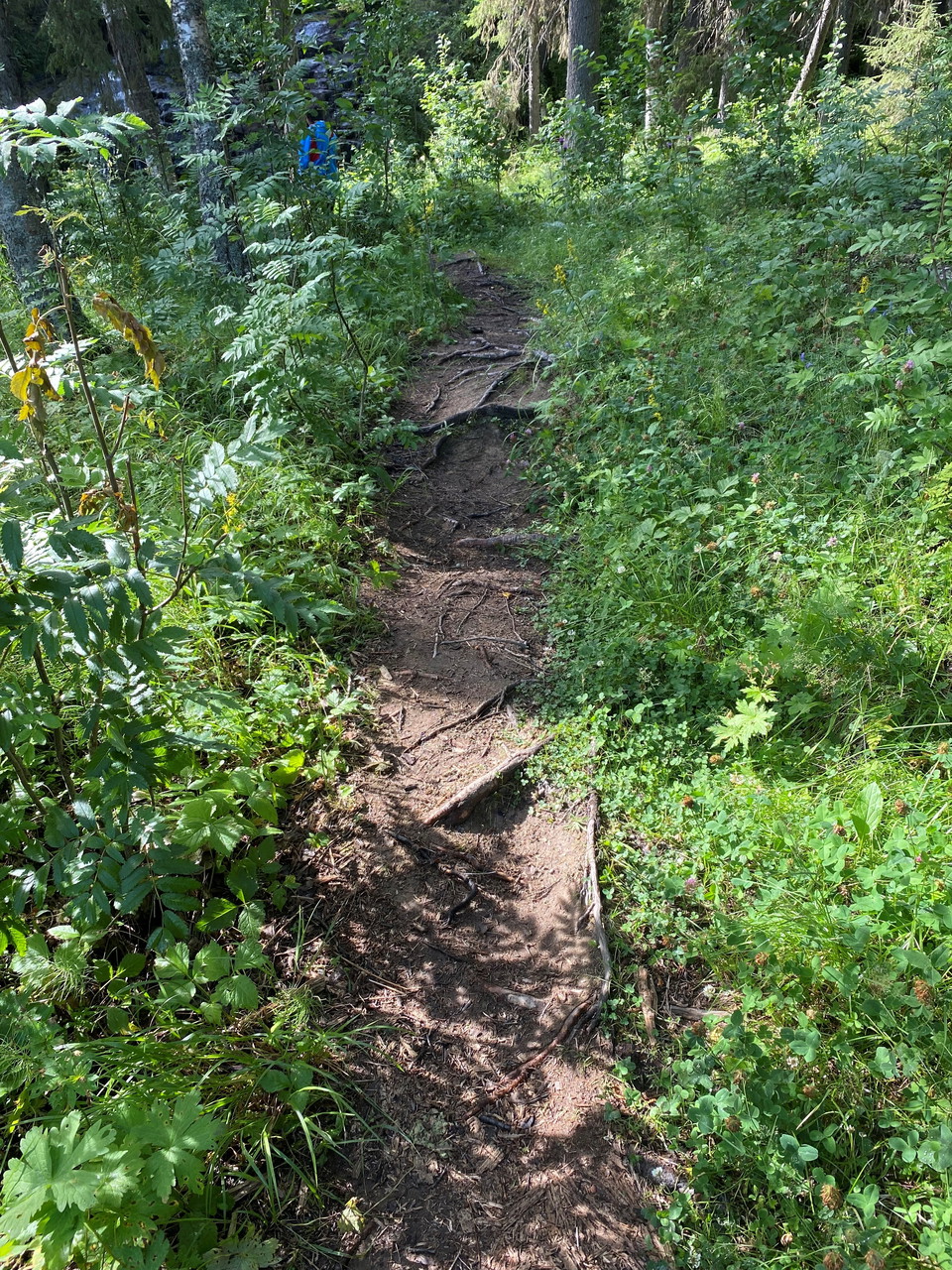 The path is about 50 meter from the road to Brudslöjan