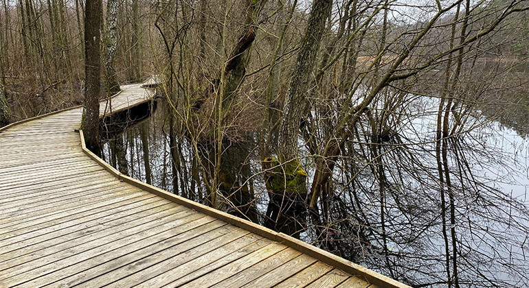 Ramp i Mölle mosse.