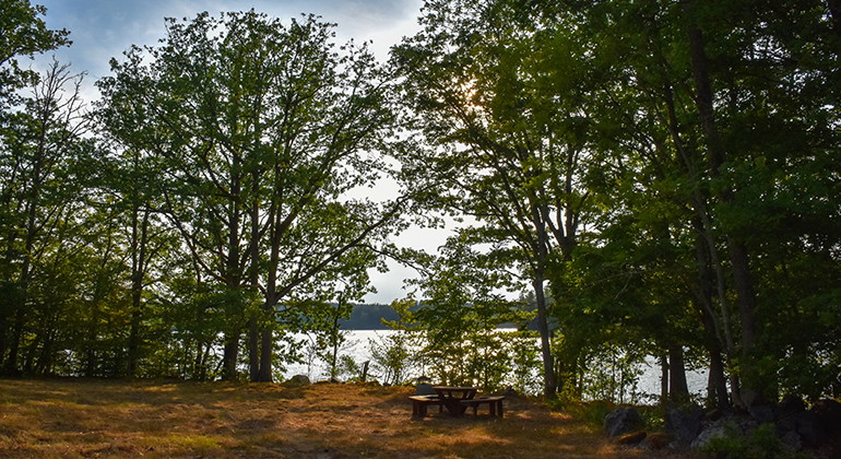 Foto: Länsstyrelsen i Kronbergs län