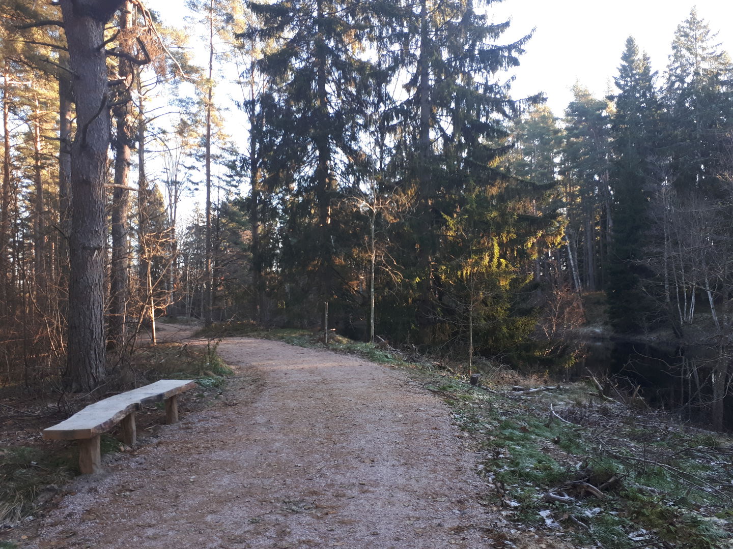 Ett gångstråk längs vatten i skogen.