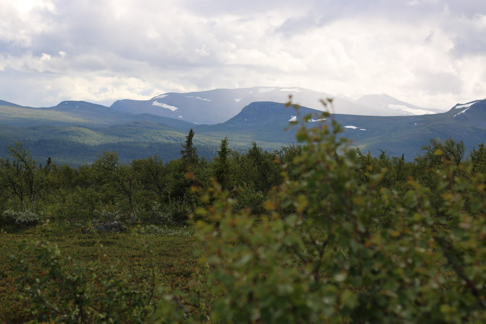 Kittelfjället.