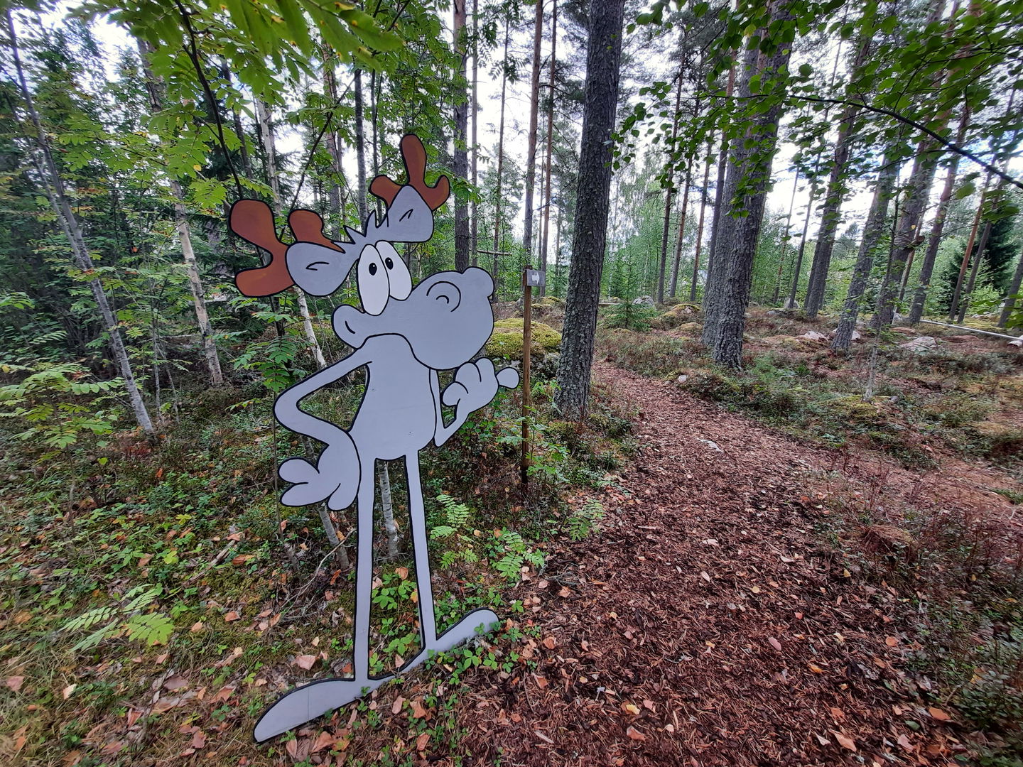 Hälge visar vägen