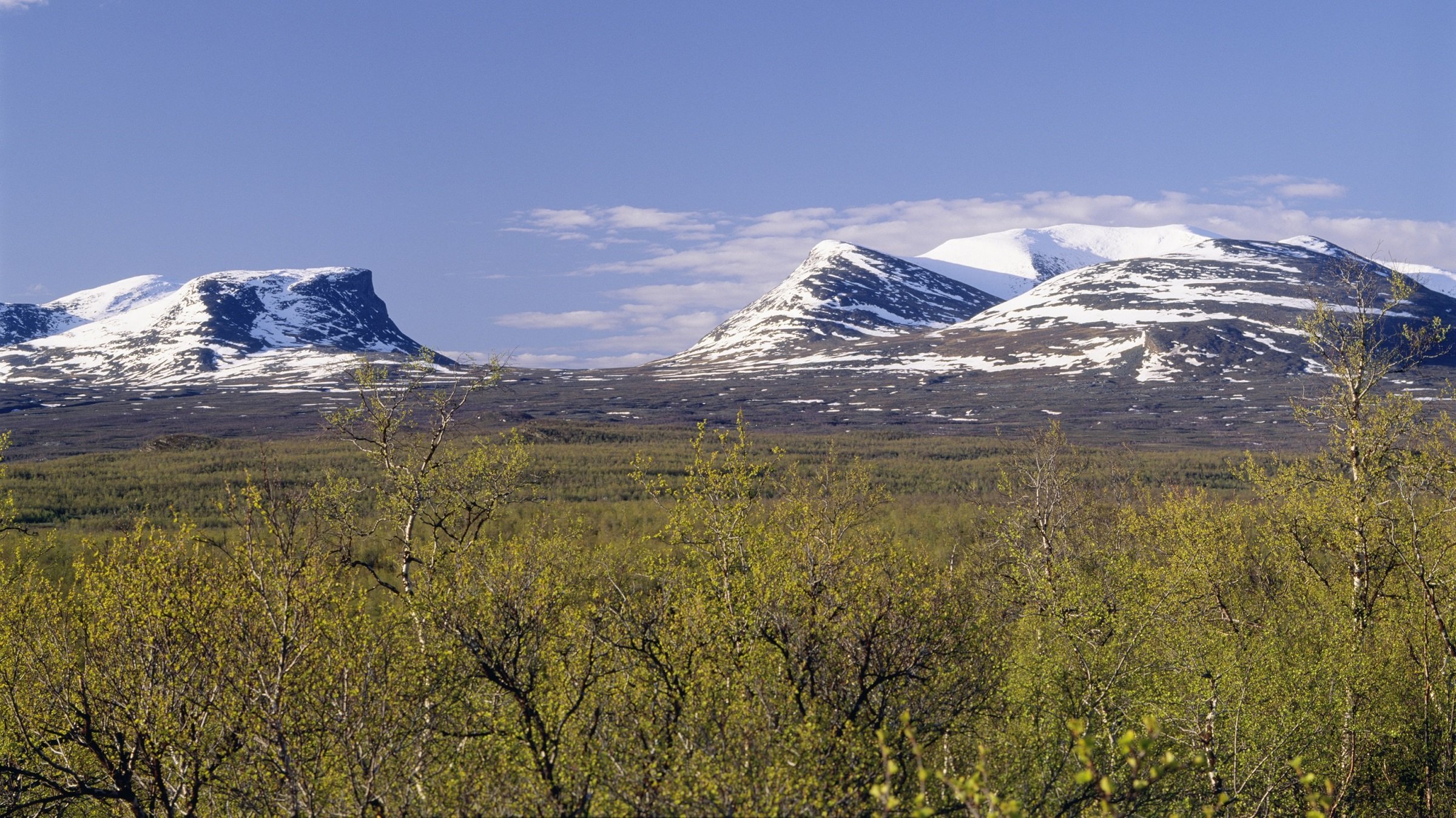 Abisko-Abiskojaure, The King's Trail and The Arctic Trail