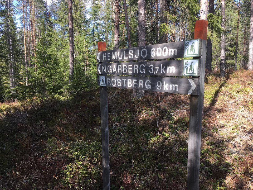 Hemulsjö