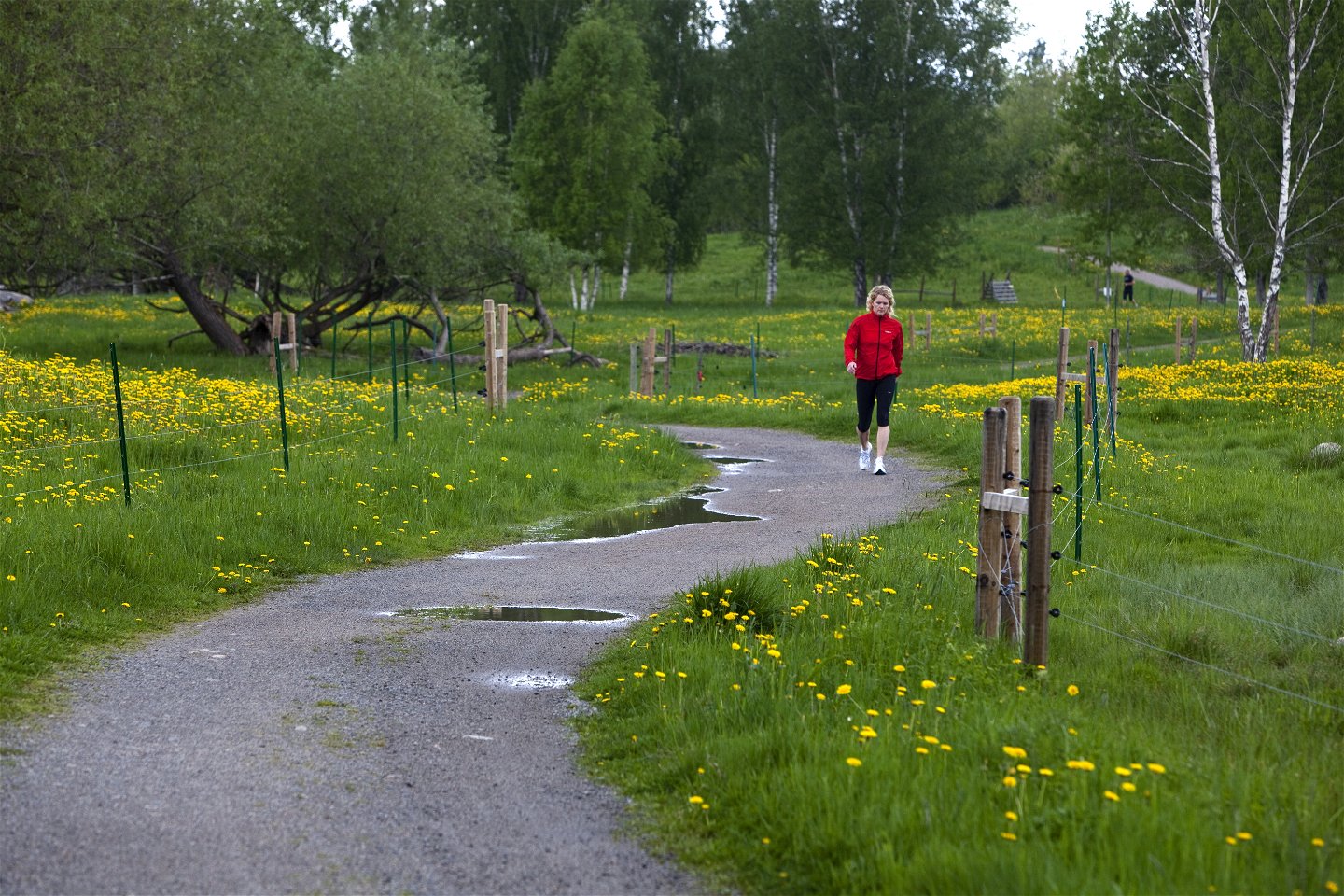 Foto: Torbjörn Arvidson