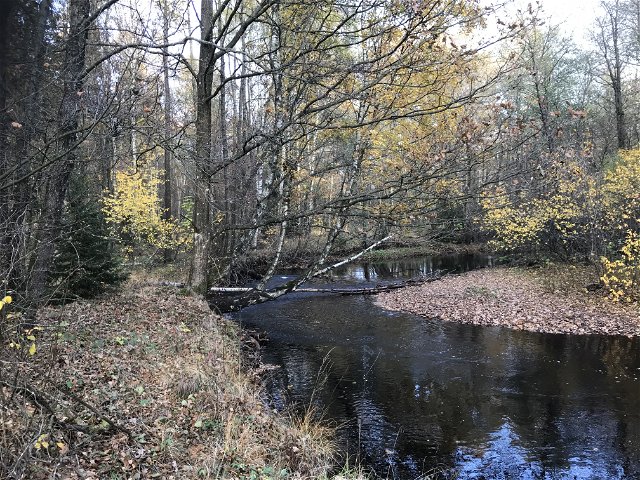 Finnsboskogen naturreservat