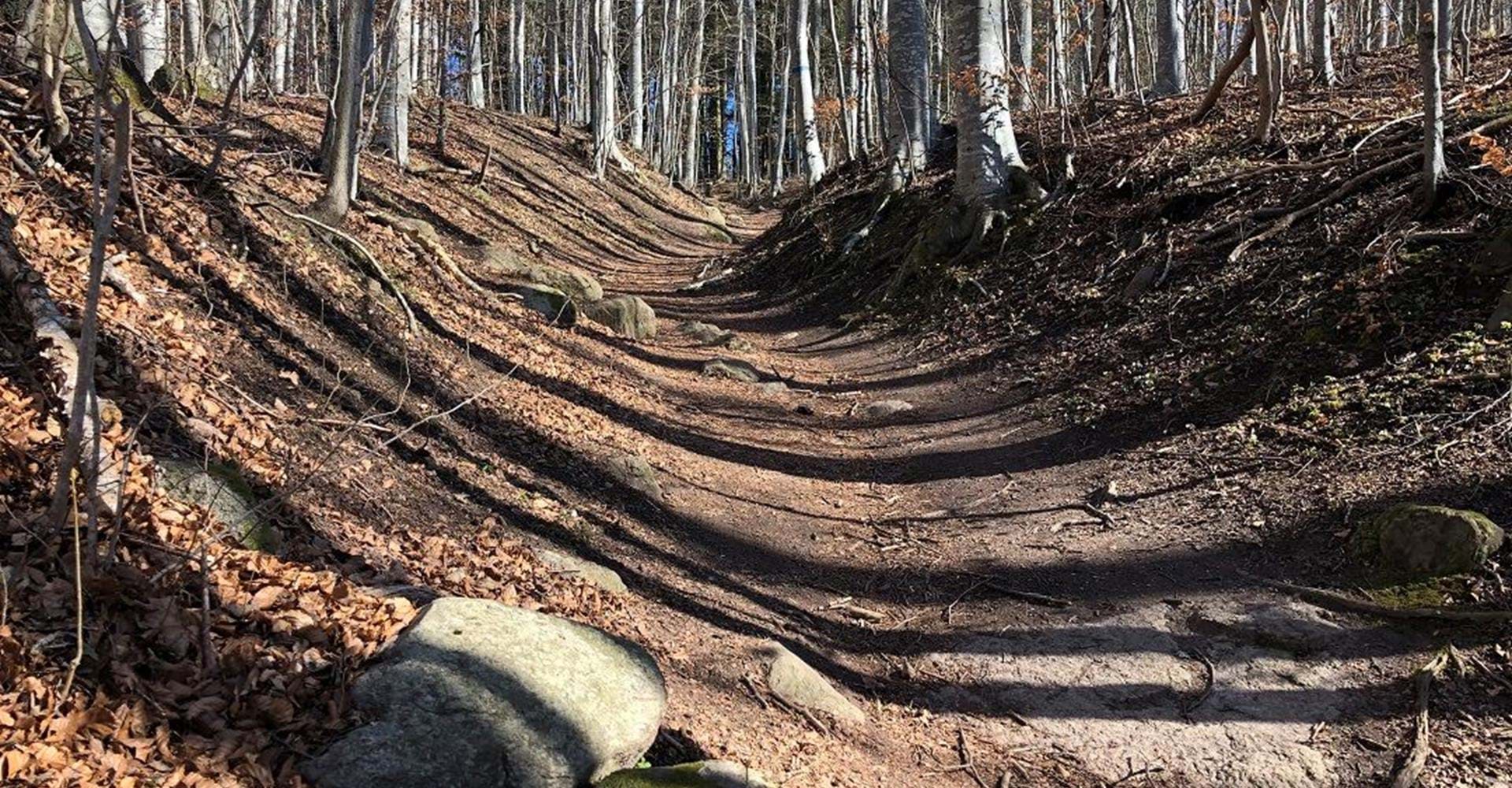 Alvastra slukrännor.
Etapp: Omberg runt, signaturleden.
Ödeshög