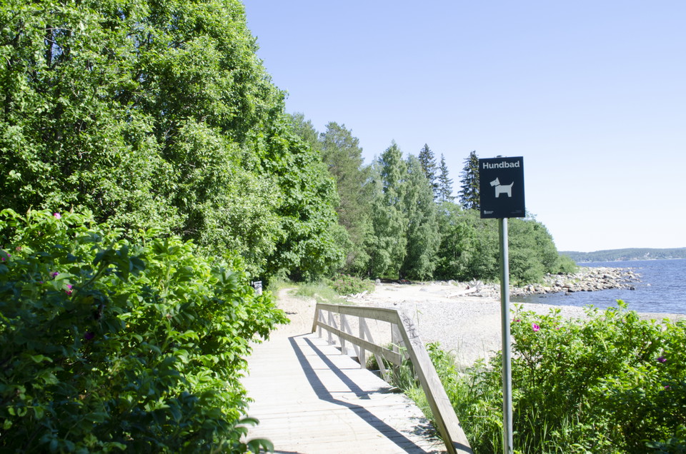 Bredsands hundstrandbad