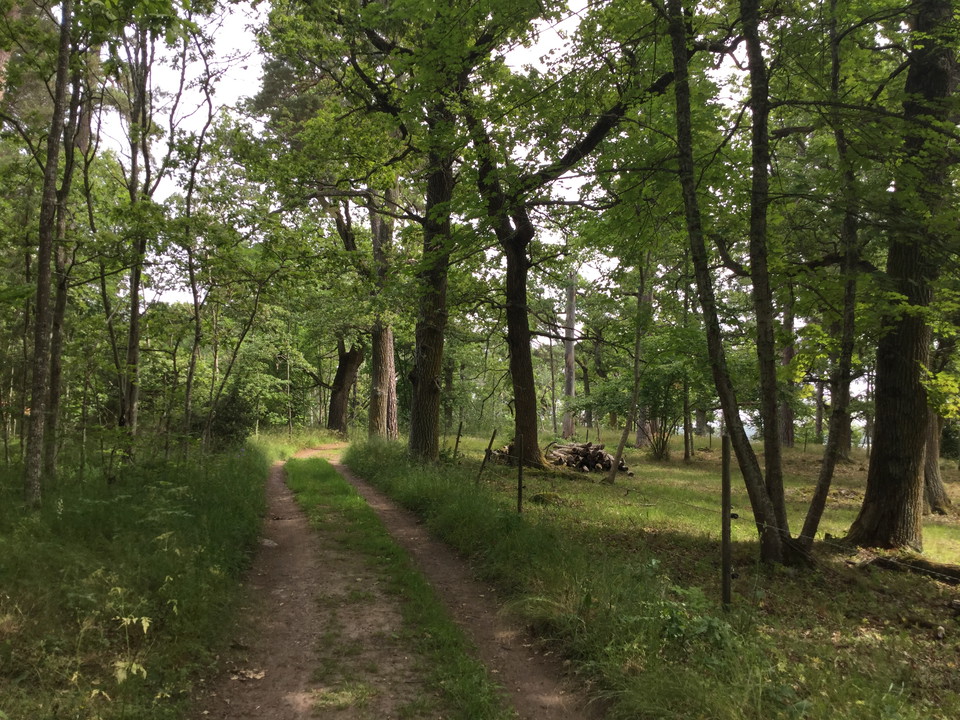På gamla körvägar genom naturreservatet Eldgarnsö.
