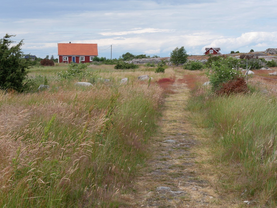 Ungskär,