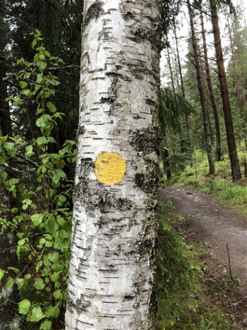 Hiking trail, Stora Envättern