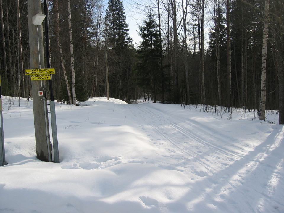 Spåret i vinterskrud