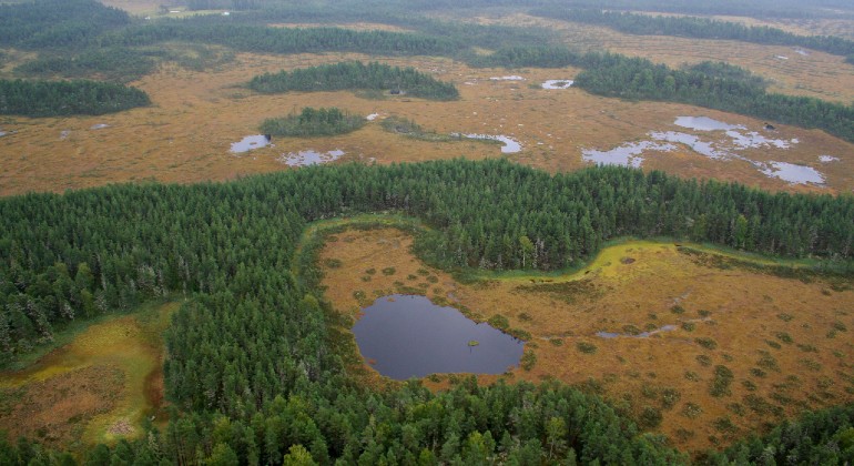 Flygbild från norr över Geijersdalsmossen.