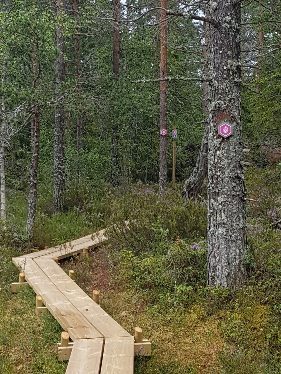 Naturstigen Södra Berget