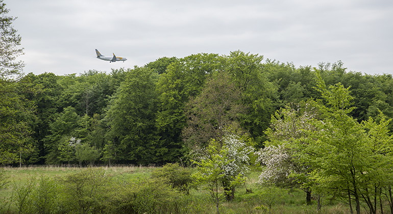 Ett flygplan går in för landning på Sturups flygplats.