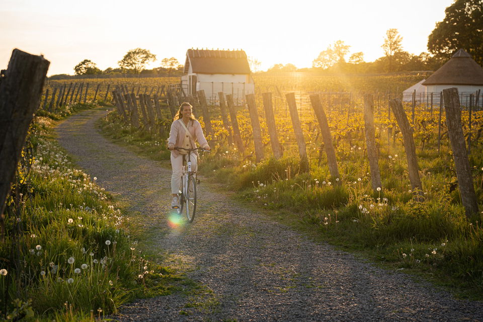 Kvinna som cyklar vid ett vinfält.