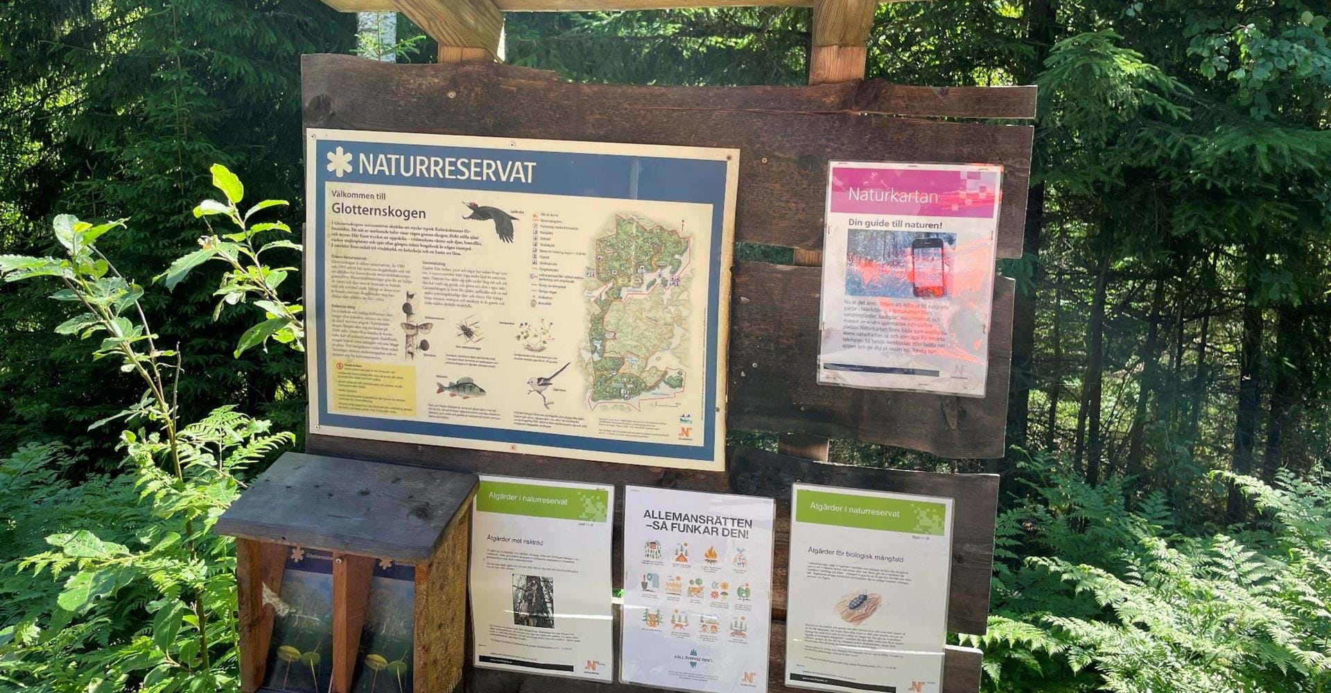 Glotternskogen, startplats