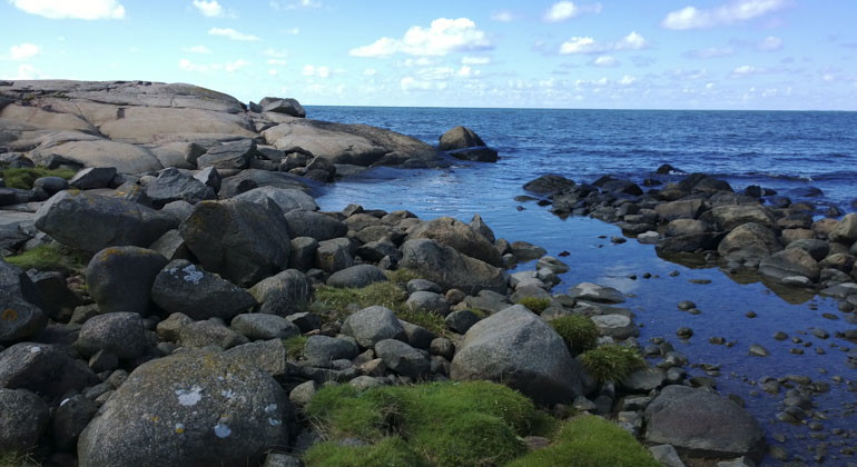 Stenig kust mot blå himmel