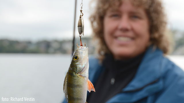 Fiska i Drevviken
