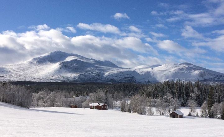 STF Enaforsholm Fjällgård