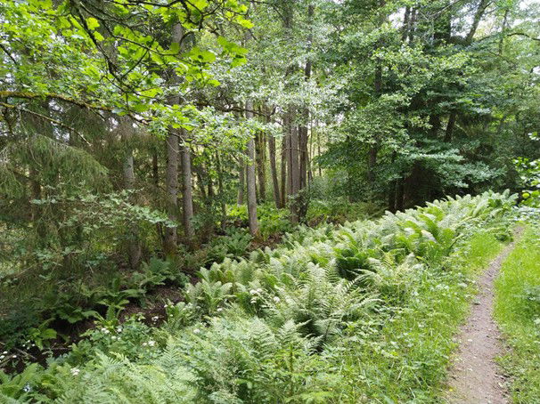 Hawaii, Tinnerö Eklandskap