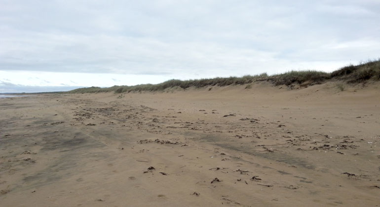 strand