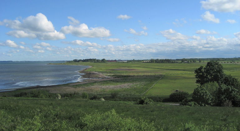 Utsikt över Lommabukten.