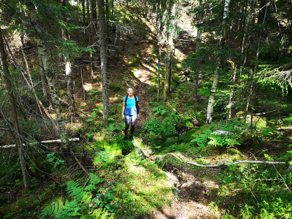 Flera ravinen passeras längs Råbergets sluttning