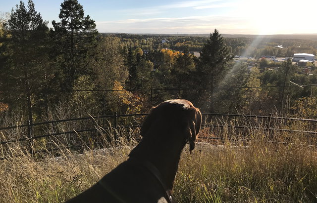 Promenadstråk till västra berget
