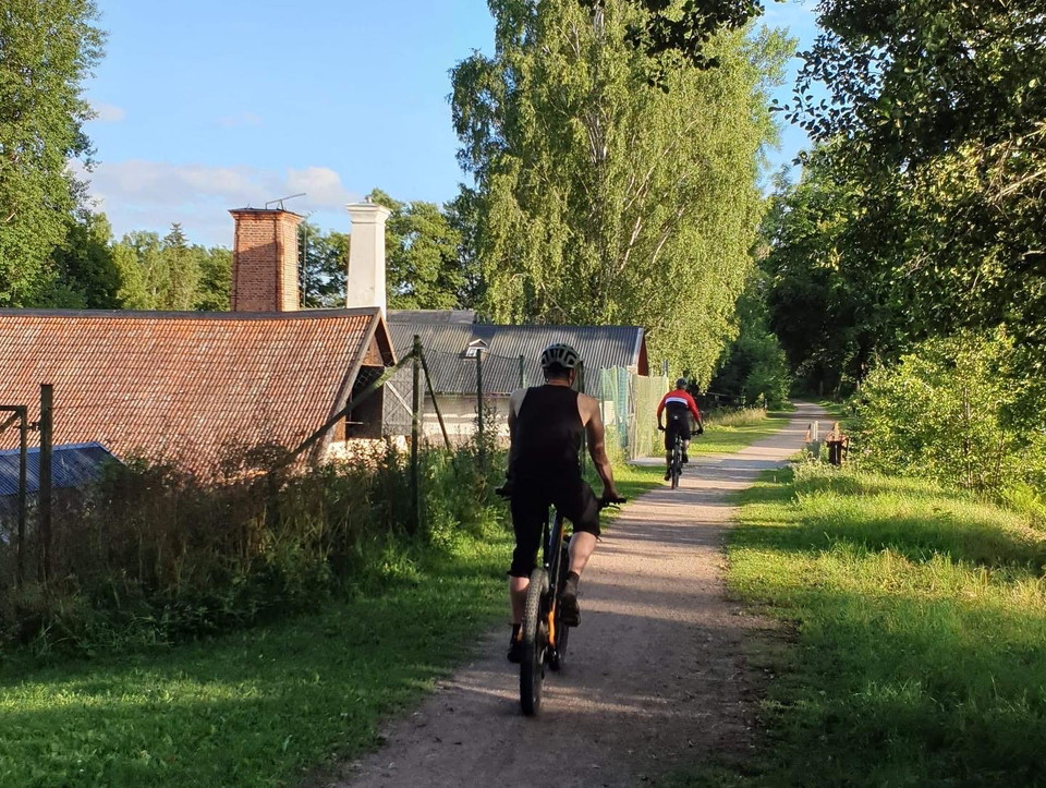 Flera stigar och vägar finns intill Hallstahammars MTB-spår