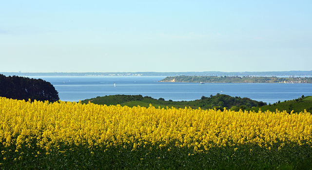 Hilleshögs dalar, Naturreservat