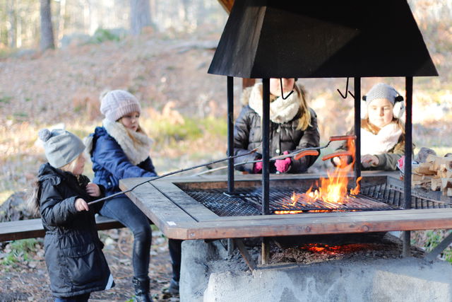Grillplats Havslätts Friluftområde, pulkabacken