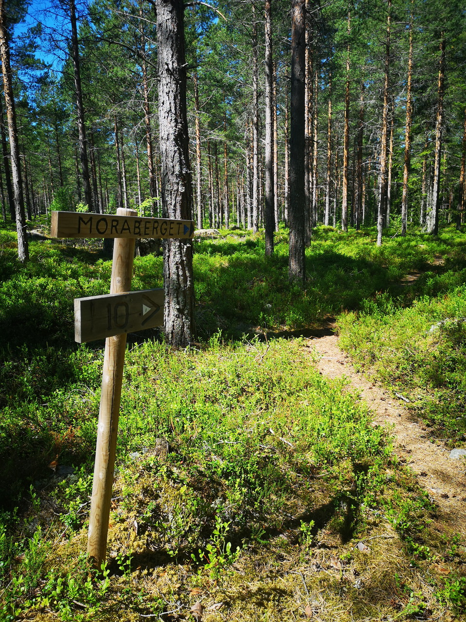 10 km och Moraberget håll höger