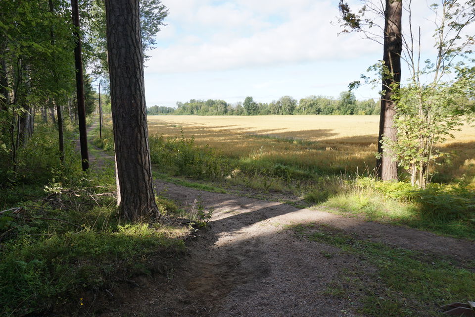 Motionsspår i skogsmiljö och utsikt över åker