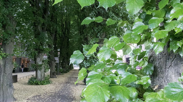 Sickla allé