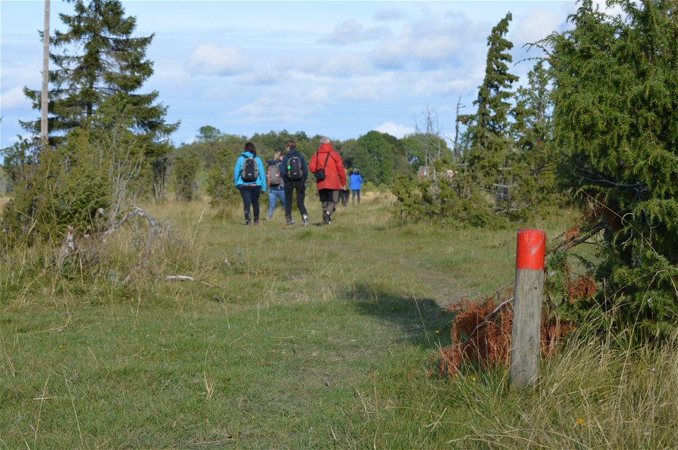 En grupp vuxna människor promenerar längs en stig i naturen. Vid ena kanten av stigen står en kort stolpe med röd markering. Stigen är upptrampad men något ojämn och underlaget är gräs. På båda sidorna av stigen växer träd. 