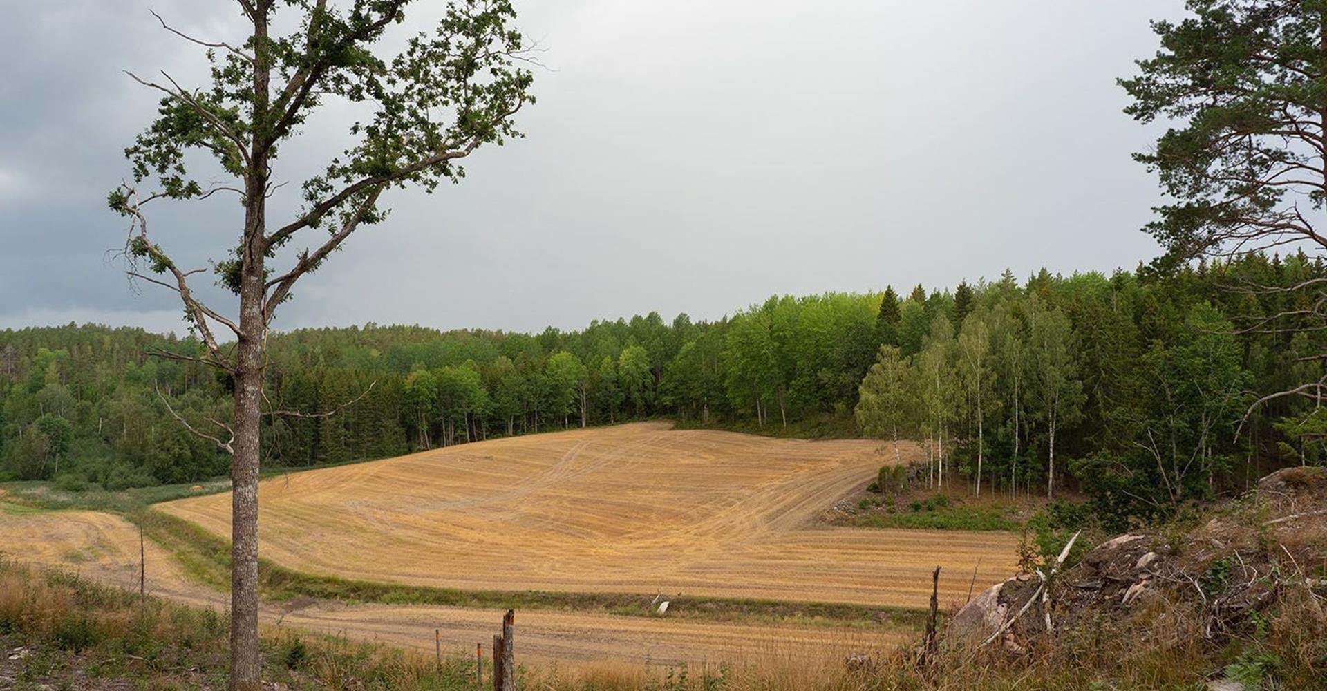 Fallingbergssjön rundslinga, Östgötaleden