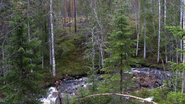Låssbäcken