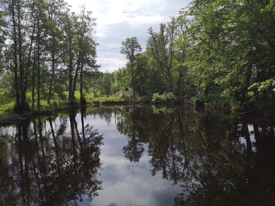 Kvarndammen vy mot kvarnen
