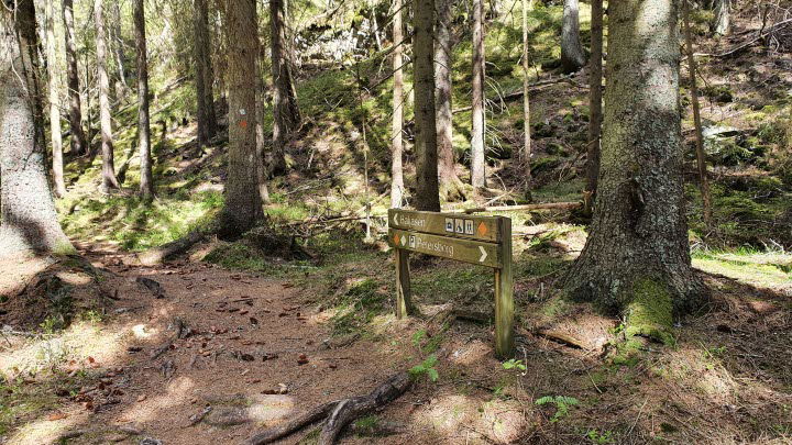 Baljåsens naturreservat
