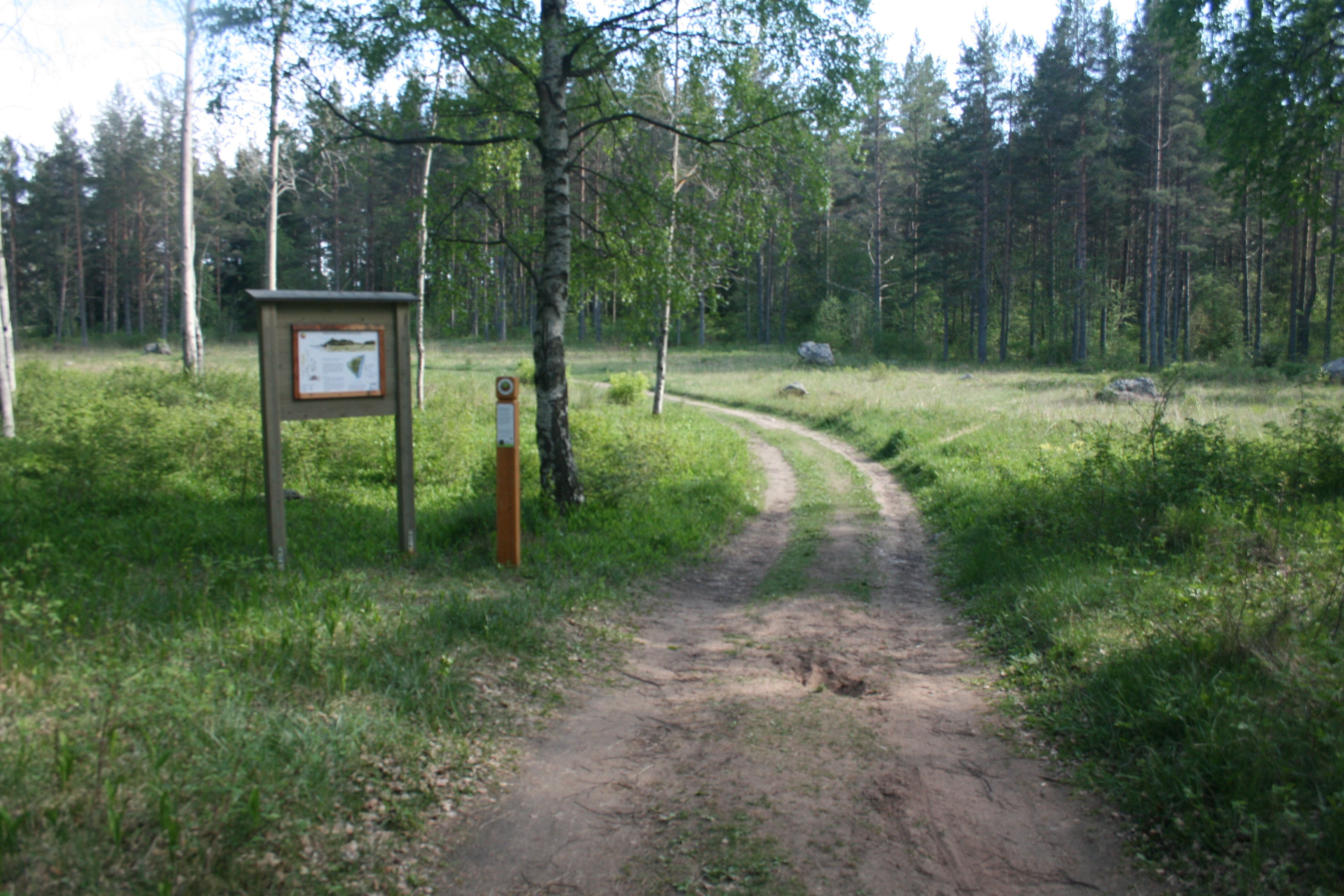 Bredvid en skogsbilväg står en stolpe med ledmarkering och en informationstavla.