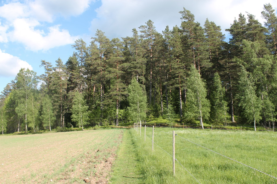 Stig som leder till naturreservatet för cyklister eller vandrare