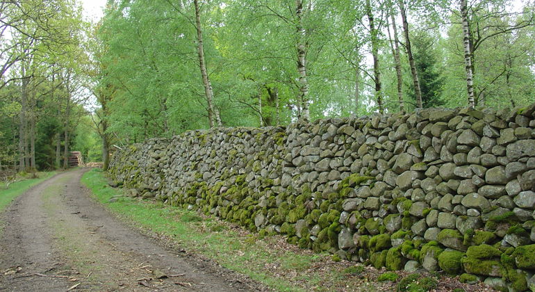 Den gamla stenmuren.