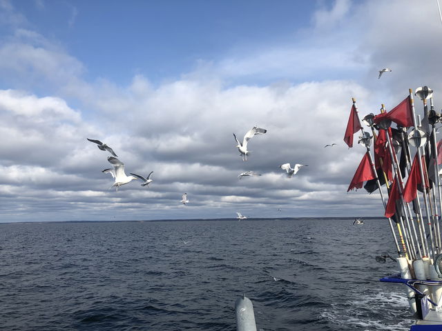 Förbud mot allt fiske 15 september till 31 maj | Fredningsområde Väbyfjorden