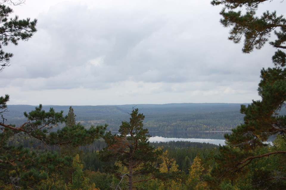 Vy mot Malingsbosjön
