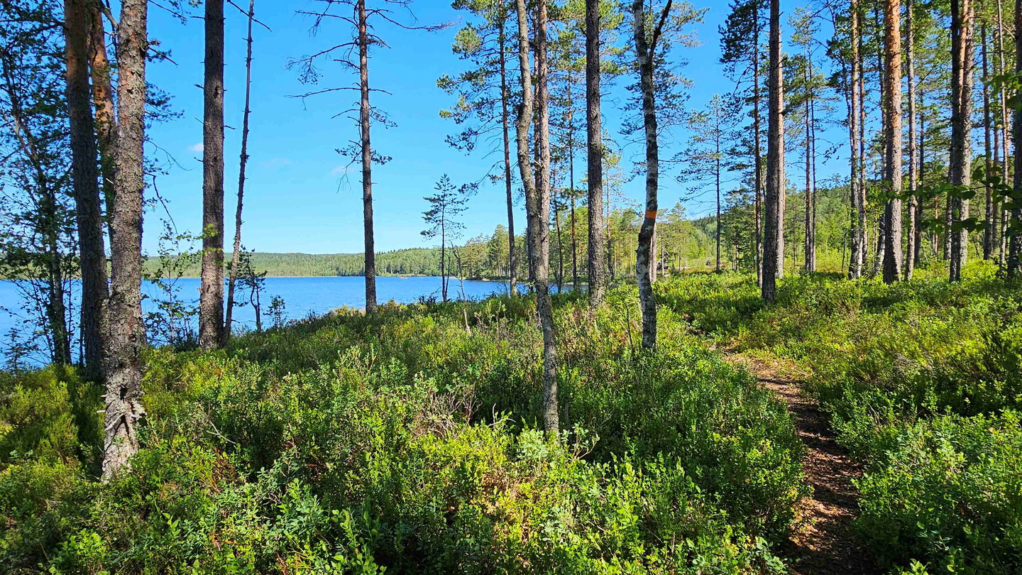 Skålsjön