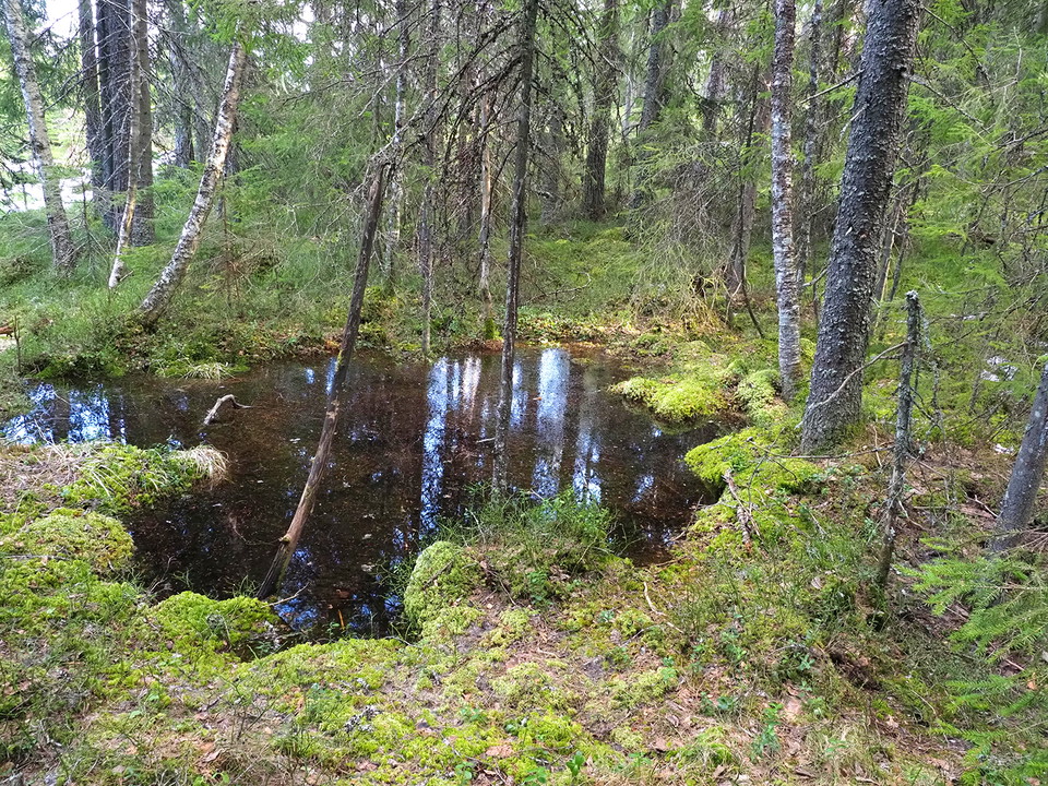 Källan