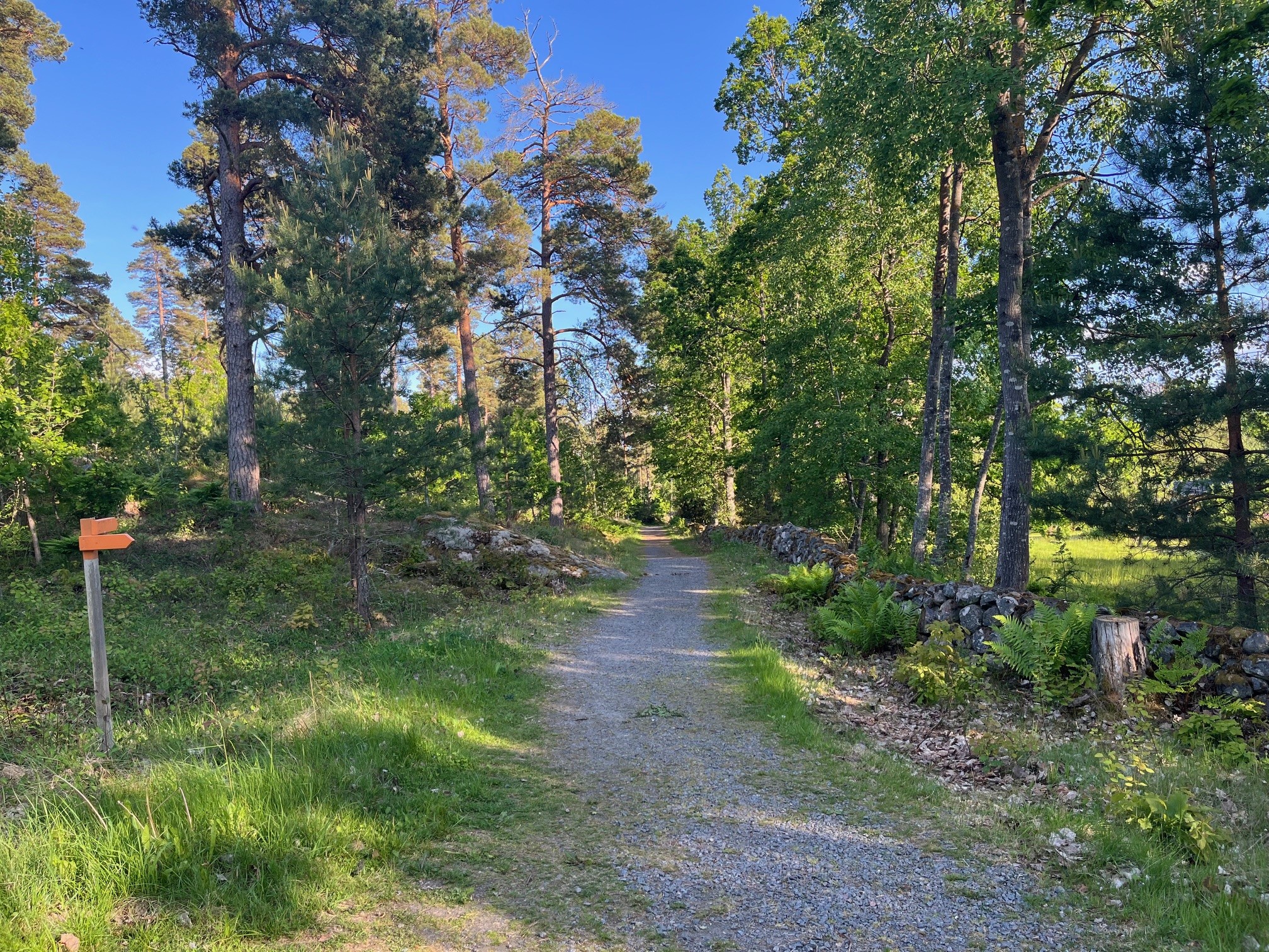 Innerskärgården i Snäckevarp