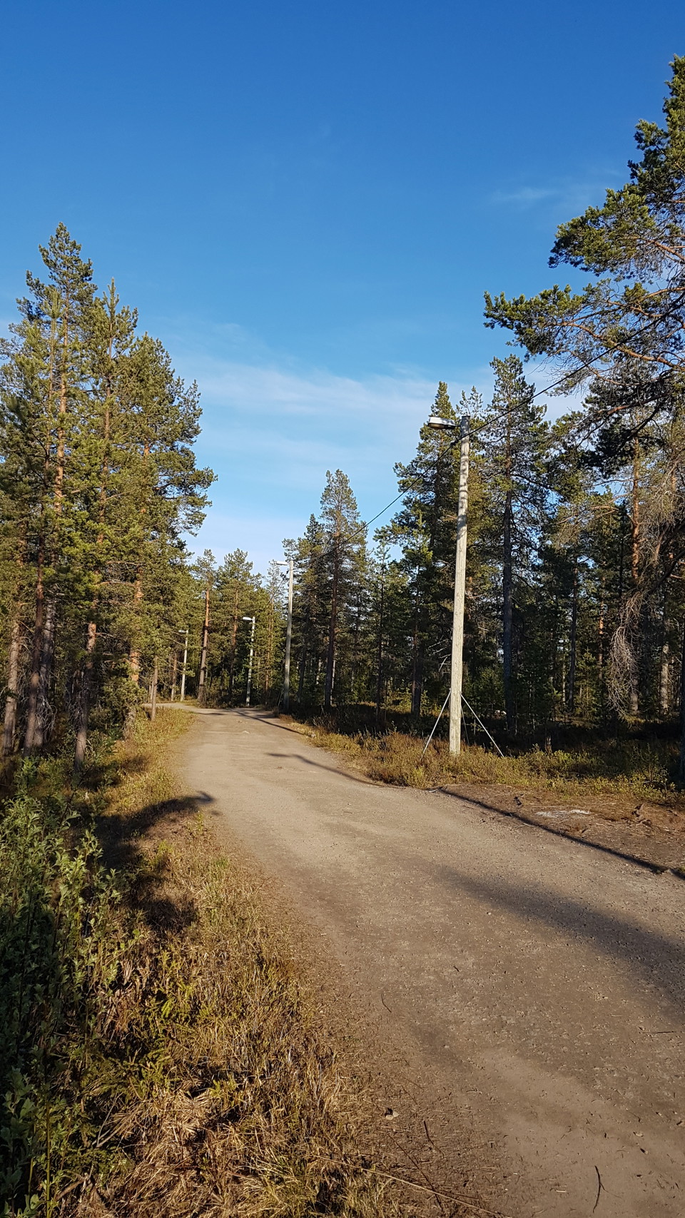 Ryggisspåret