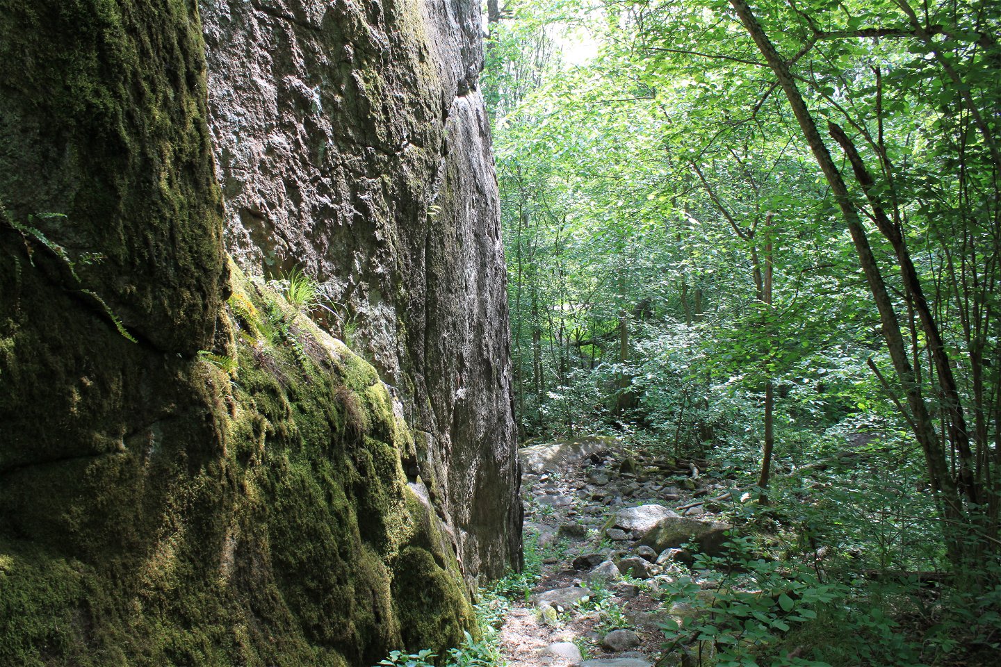 En mycket hög klippvägg med lummig skog runtom.